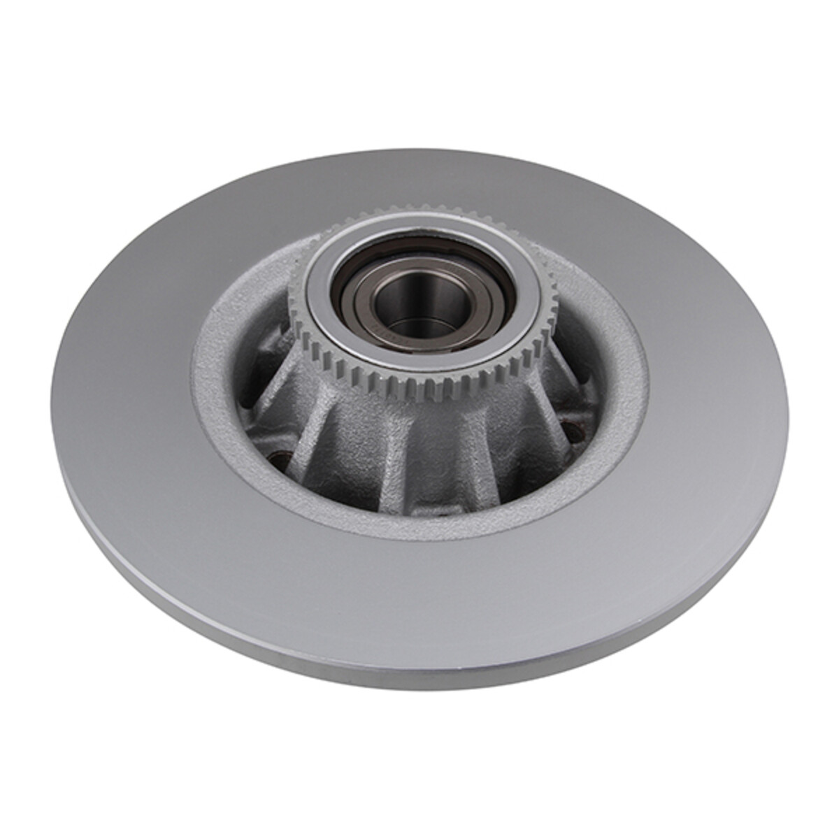 BRAKE DISC X1 WITH BRG REN TRAFIC II RR